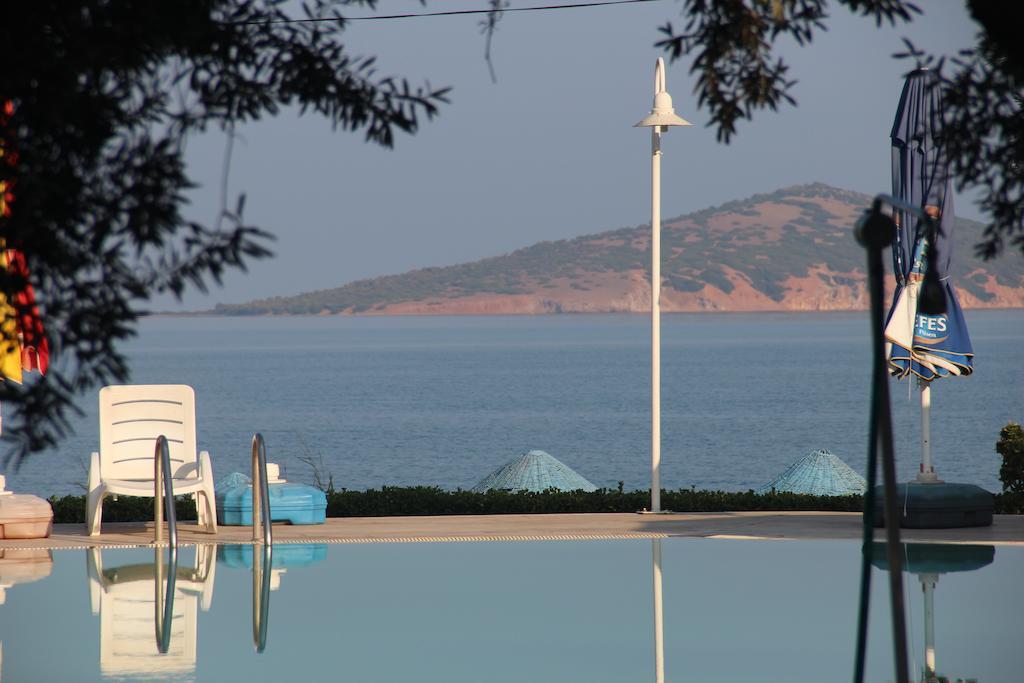 Ege & Ayvalı