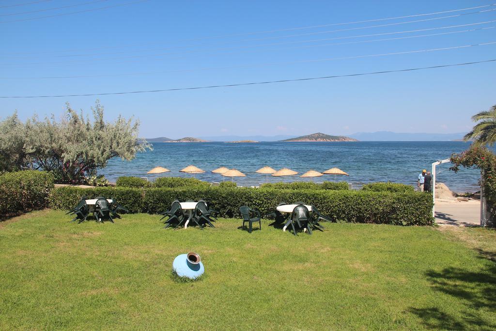 Ege & Ayvalı