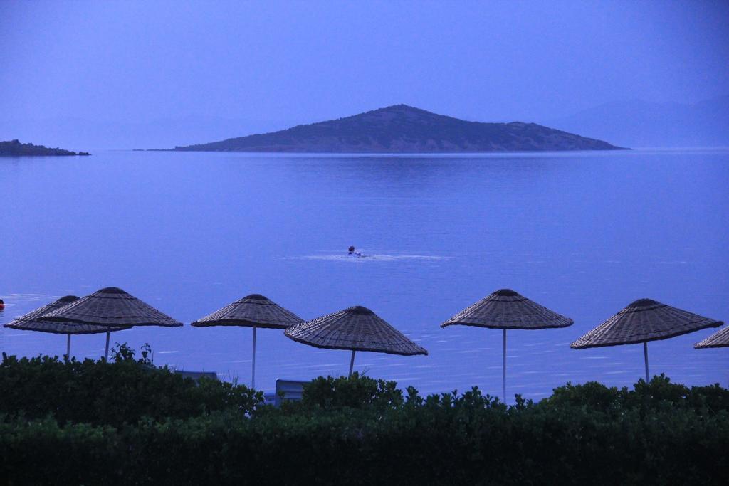 Ege & Ayvalı