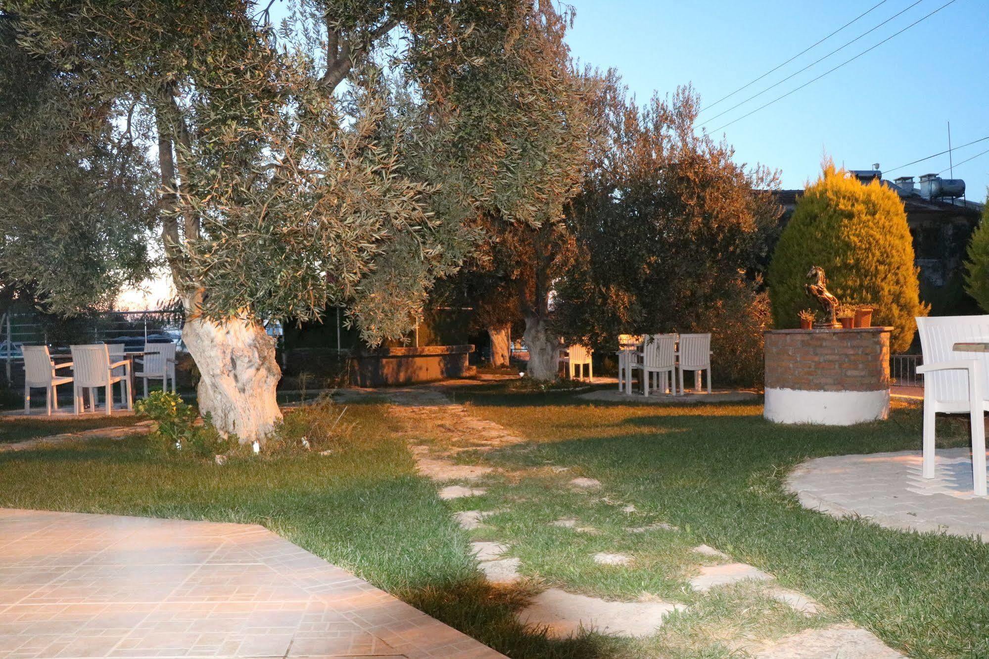 Ege & Pensjonat